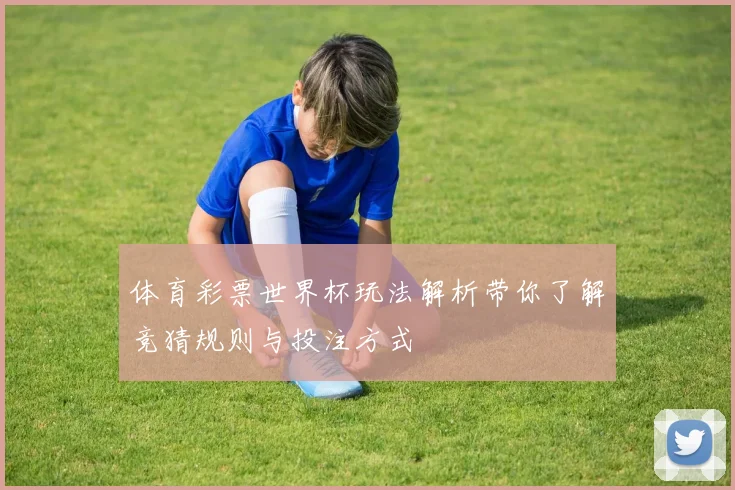 体育彩票世界杯玩法解析带你了解竞猜规则与投注方式